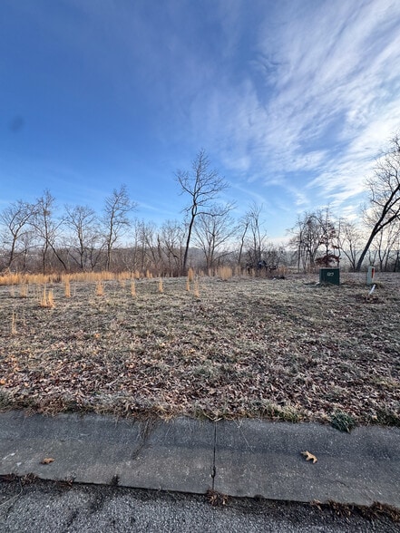 More Photos Of Willis Lane, Pea Ridge Land For Sale