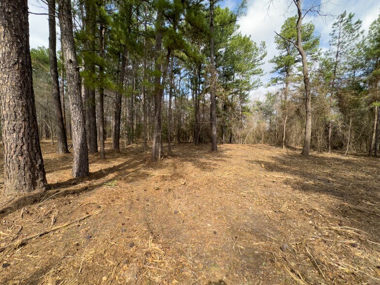 More Photos Of 3363 FM 349, Kilgore Land For Sale