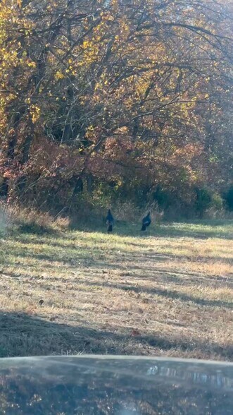 More Photos Of 33345 W. 95th St, De Soto Land For Sale