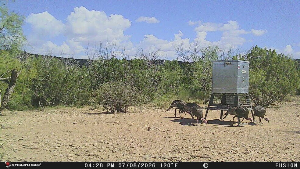 More Photos Of 0000 Clegg Rd, Ozona Land For Sale