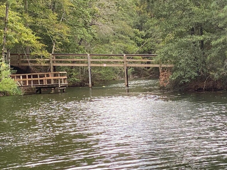 More Photos Of 248 WOODSY Holw, Goodrich Land For Sale