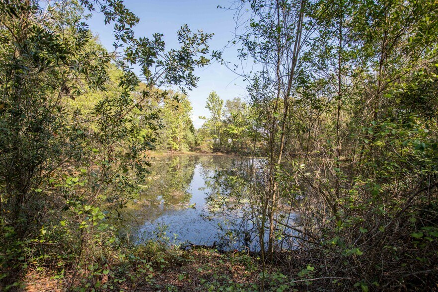 More Photos Of 26034 County Road 448A, Mount Dora Land For Sale