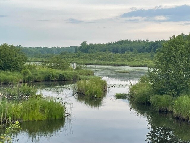 More Photos Of Hogsback Road, Exeland Land For Sale