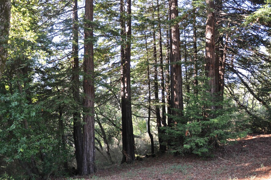 More Photos Of 128 Ridgecrest Road, Kentfield Land For Sale