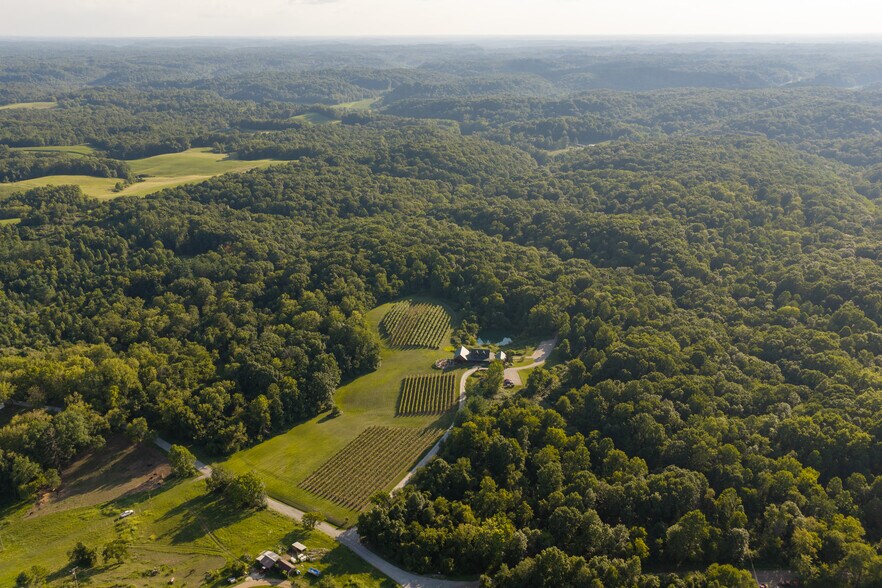 More Photos Of 401 Gilkey Ridge Rd, Shade Winery Vineyard For Sale