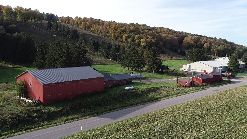 More Photos Of 1135 Toggenburg Rd, Fabius Land For Sale