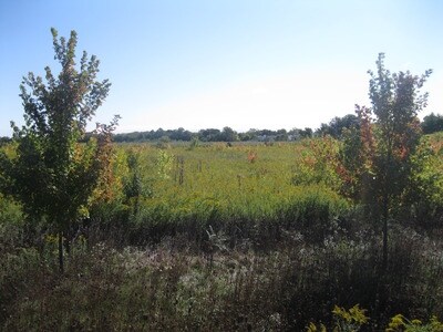 More Photos Of 15688 Hazel Dell Rd, Noblesville Land For Sale