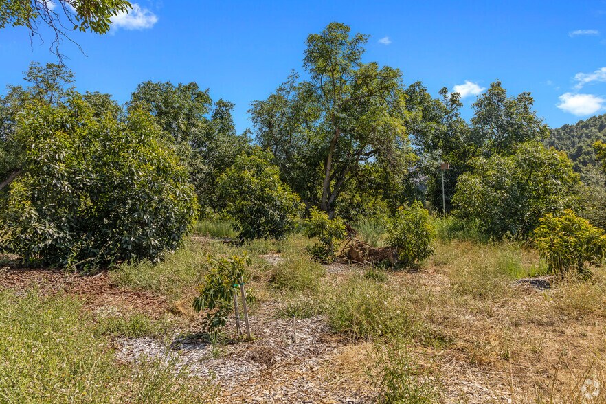 More Photos Of 36727 Muutama Ln, Valley Center Land For Sale