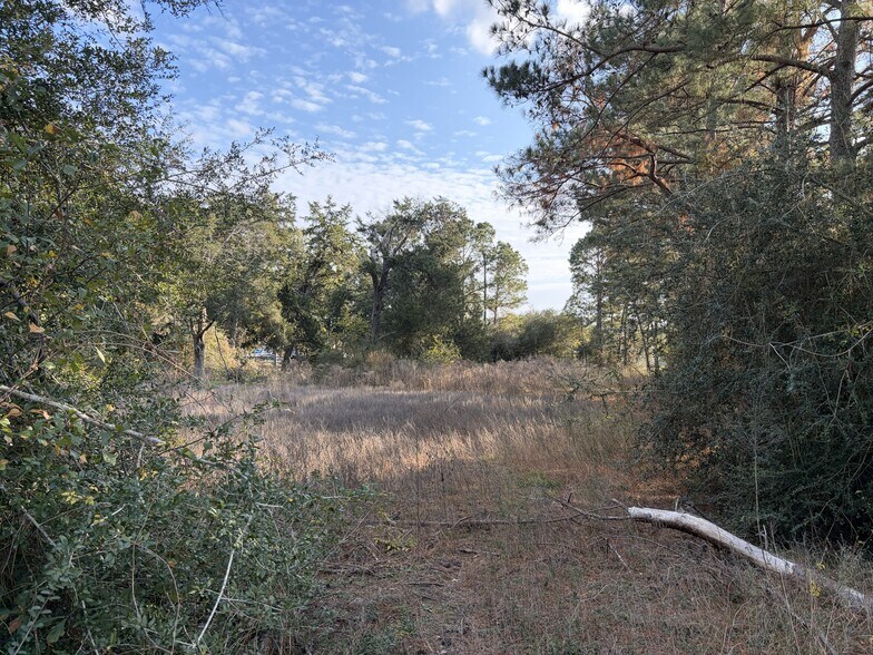 More Photos Of 2995 Pecan Ave, Waller Land For Sale