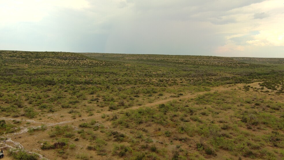 More Photos Of 0100 Cactus Rose Ln, Ozona Land For Sale