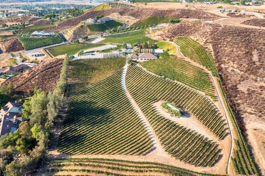 More Photos Of 36522 Via Verde, Temecula Winery Vineyard For Sale
