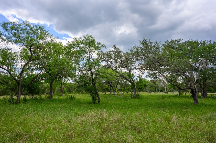 More Photos Of 114 Bledsoe Ranch Road, Center Point Land For Sale