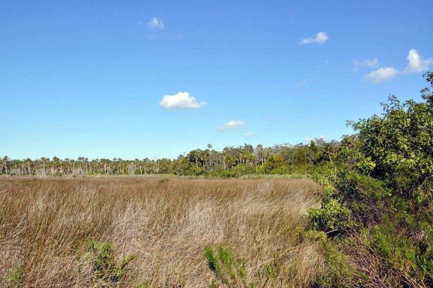 More Photos Of Cortez Blvd & Marys Fish Camp Rd, Weeki Wachee Land For Sale