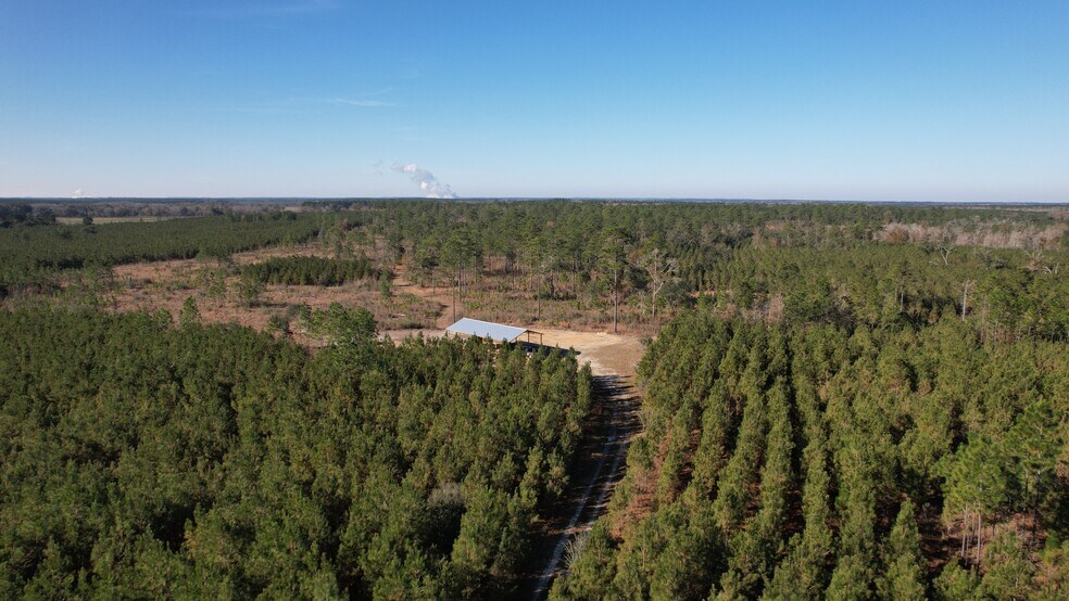 More Photos Of 17675 Cedar Springs Rd, Blakely Land For Sale