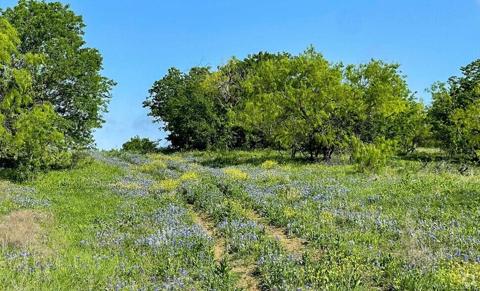 More Photos Of 3111 Koscher Dr, Cedar Hill Land For Sale