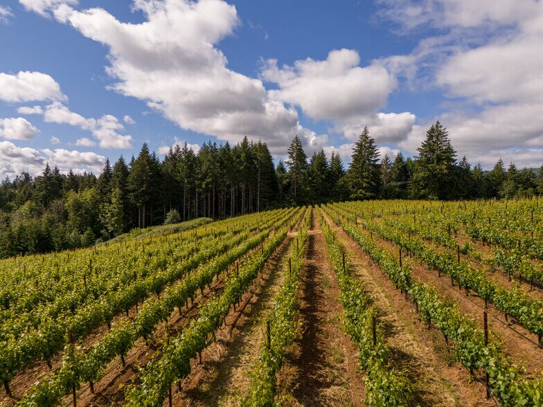 More Photos Of 12000 NW Old Wagon Rd, Carlton Winery Vineyard For Sale
