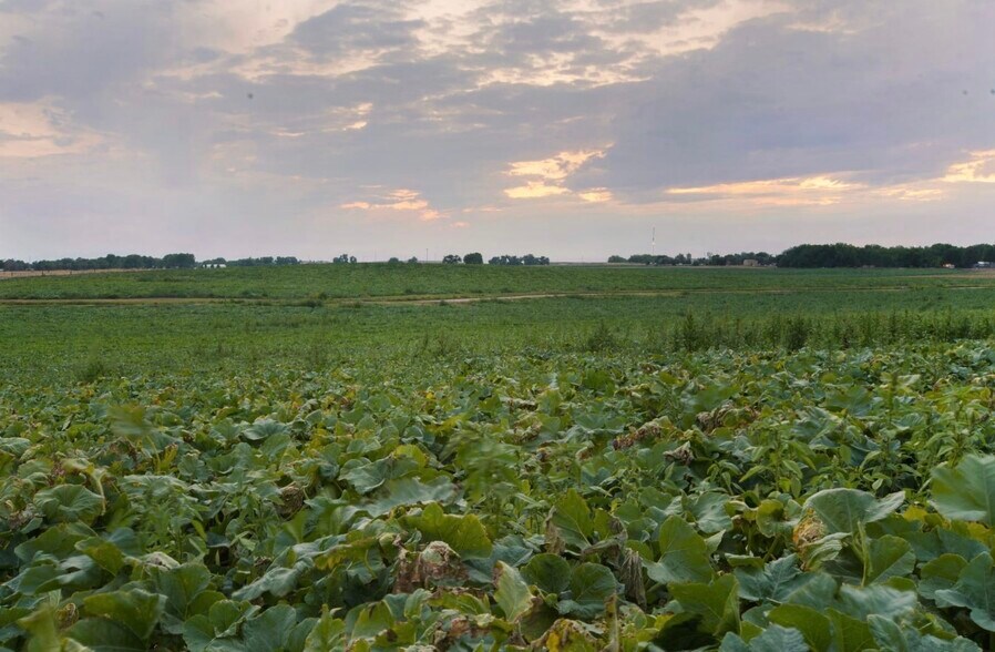 More Photos Of 18437 County Road 8, Brighton Land For Sale