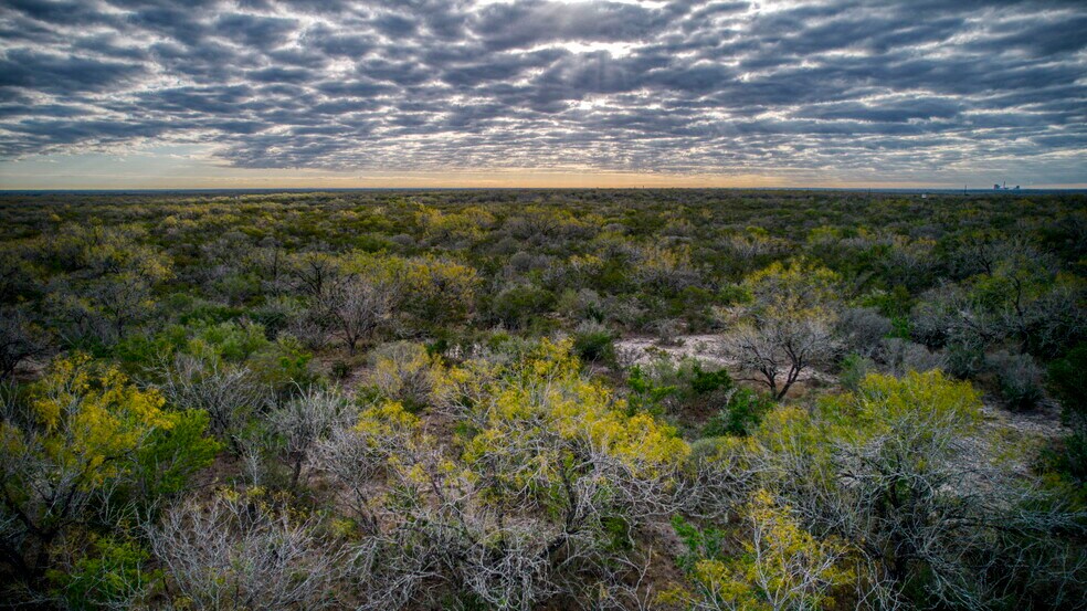 More Photos Of County Road 422, Pleasanton Land For Sale