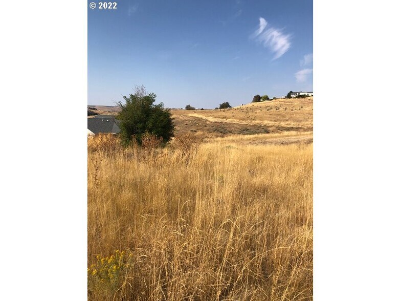 Primary Photo Of SW Nye Ave, Pendleton Land For Sale