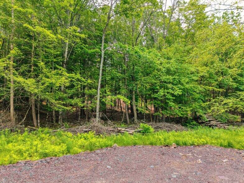 More Photos Of Boulder Brook Rd, Windham Land For Sale