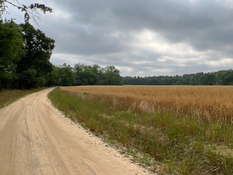 More Photos Of 2833 Omussee Rd, Dothan Land For Sale