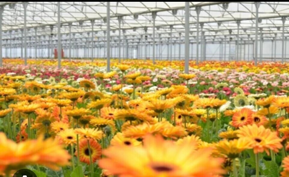 More Photos Of 5360 Foothill Rd, Carpinteria Flex For Sale