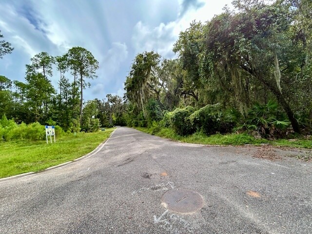 More Photos Of 97124 Elk Creek ct, Fernandina Beach Land For Sale