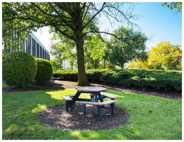 More Photos Of 915 Harger Rd, Oak Brook Office For Lease