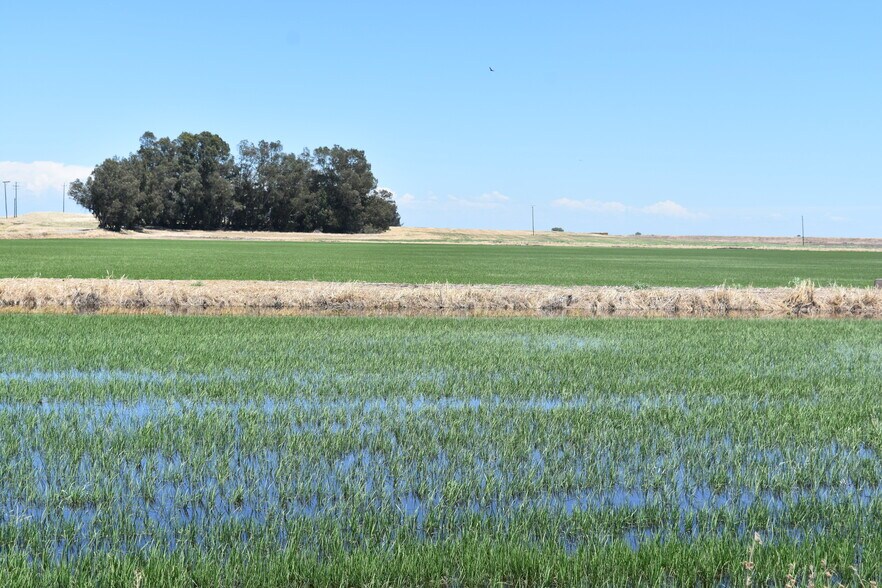 More Photos Of 16637 Tyler Island Rd, Isleton Land For Sale