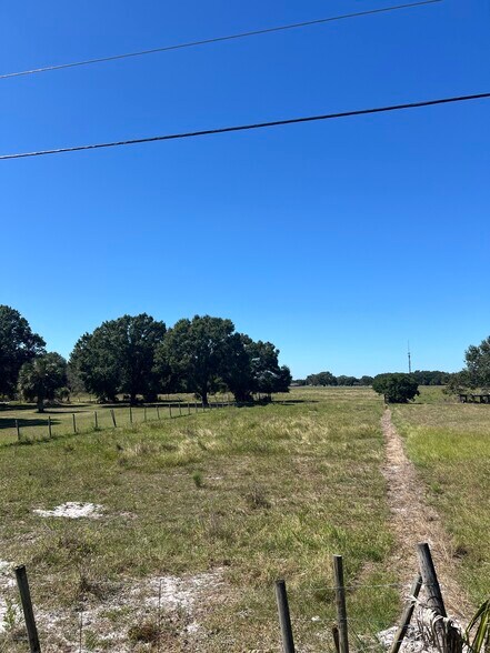 More Photos Of 7900 Block Highway 60, Bartow Land For Sale