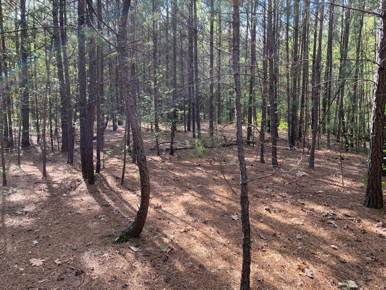 More Photos Of 0 Robin Rd, Forest Park Land For Sale