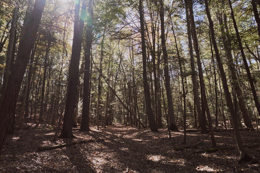 More Photos Of 1296 Flatbush Rd, Kingston Land For Sale