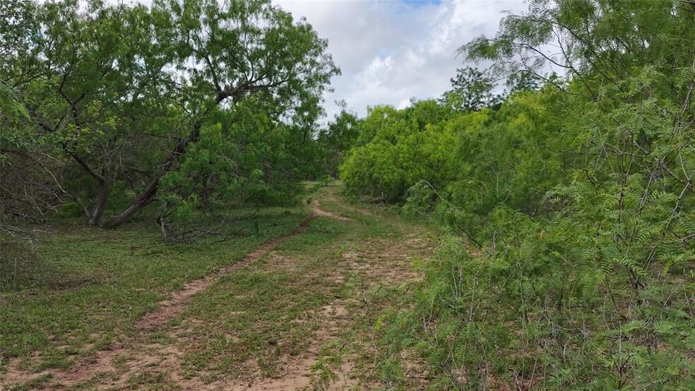 More Photos Of TBD Reids Bend rd, Bastrop Land For Sale
