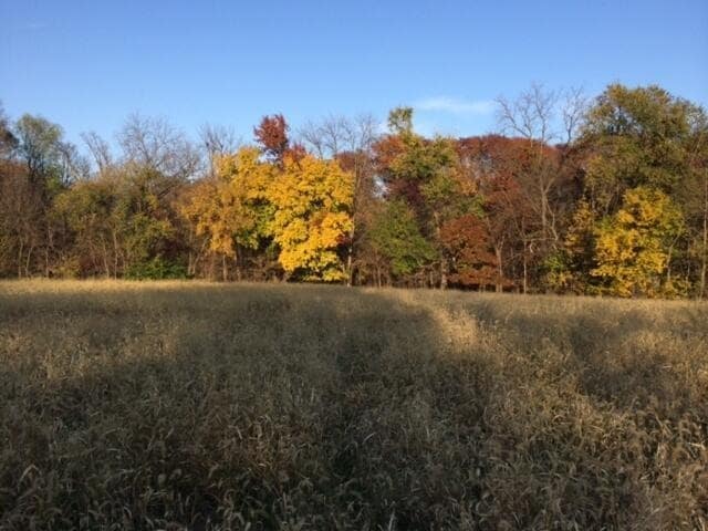 More Photos Of 16090 Crystal Ln, Council Bluffs Land For Sale