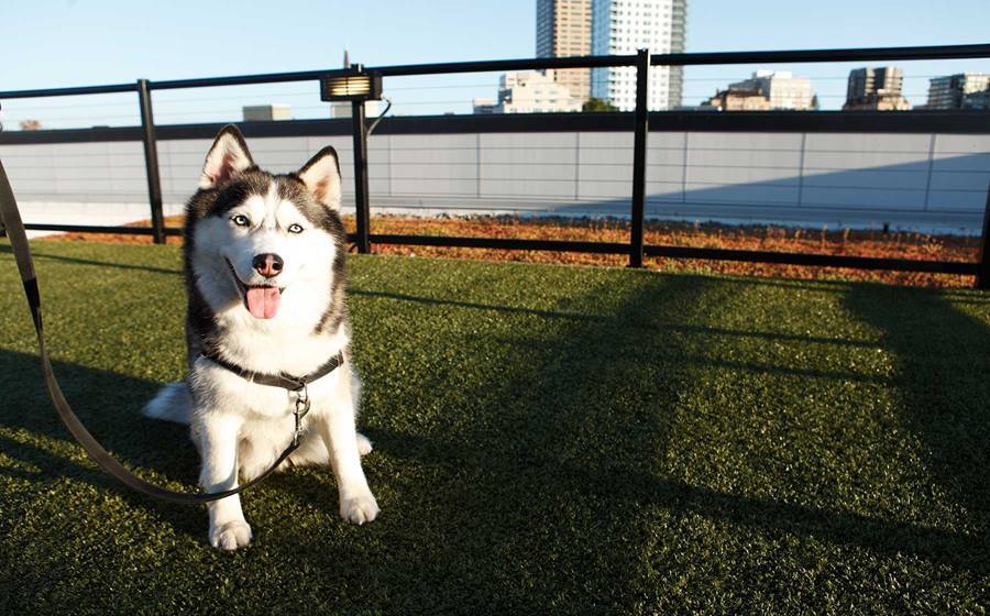 More Photos Of 555 President St, Baltimore Apartments For Lease