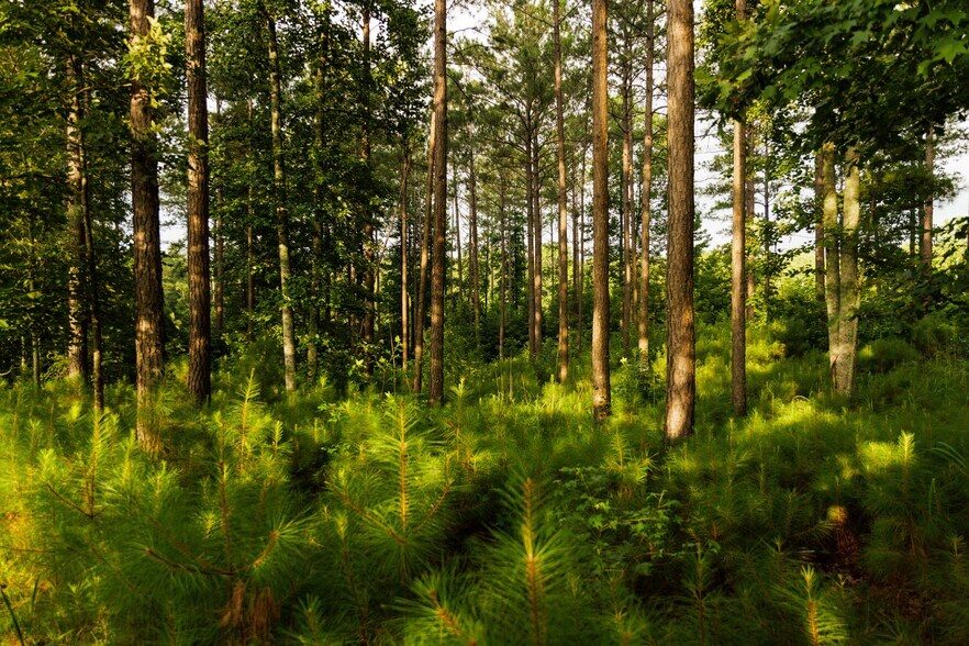 More Photos Of 2199 Roosterville Rd, Roopville Horse Stables For Sale