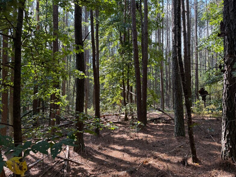 More Photos Of 107 Popham rd, Taylorsville Land For Sale
