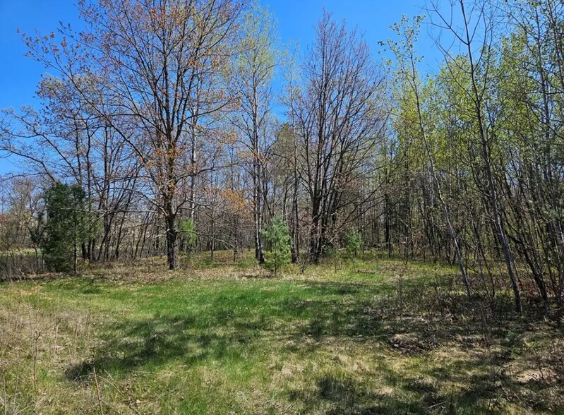 More Photos Of 2935 S Wisconsin Ave, Rice Lake Land For Sale