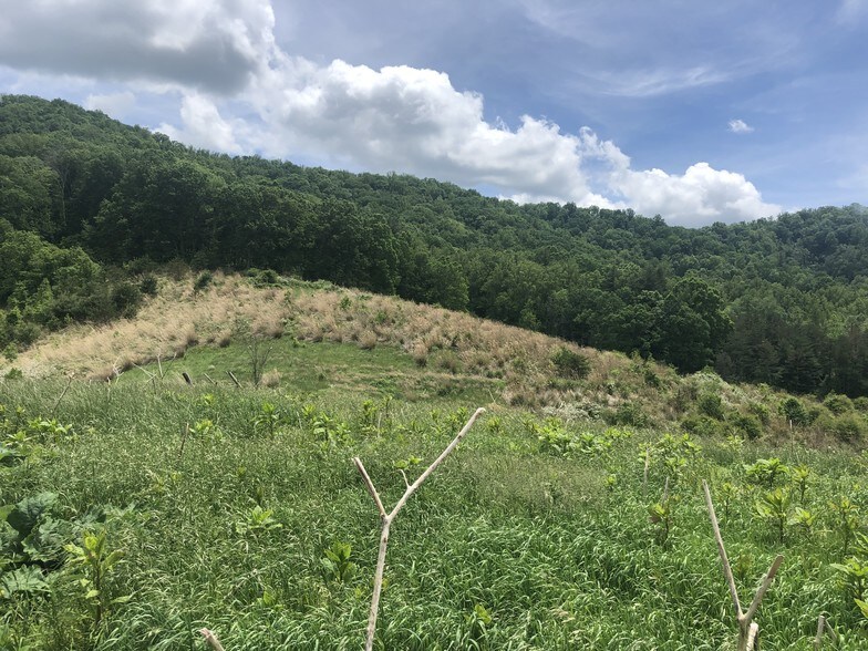 More Photos Of 87 Barnardsville Hwy, Weaverville Land For Sale
