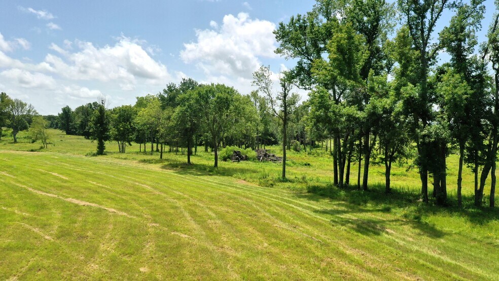 More Photos Of 13530 FM 773, Ben Wheeler Land For Sale