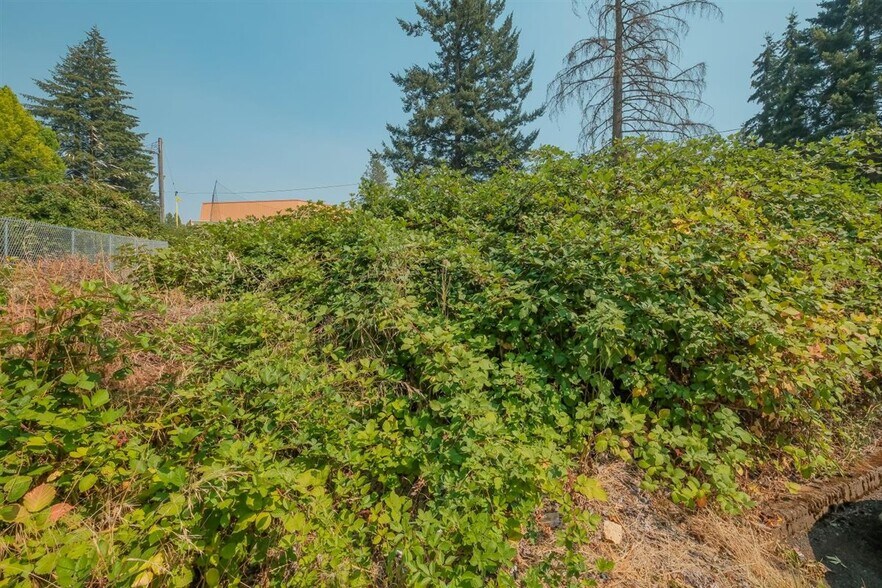 More Photos Of 3912 Commercial St SE, Salem Land For Sale