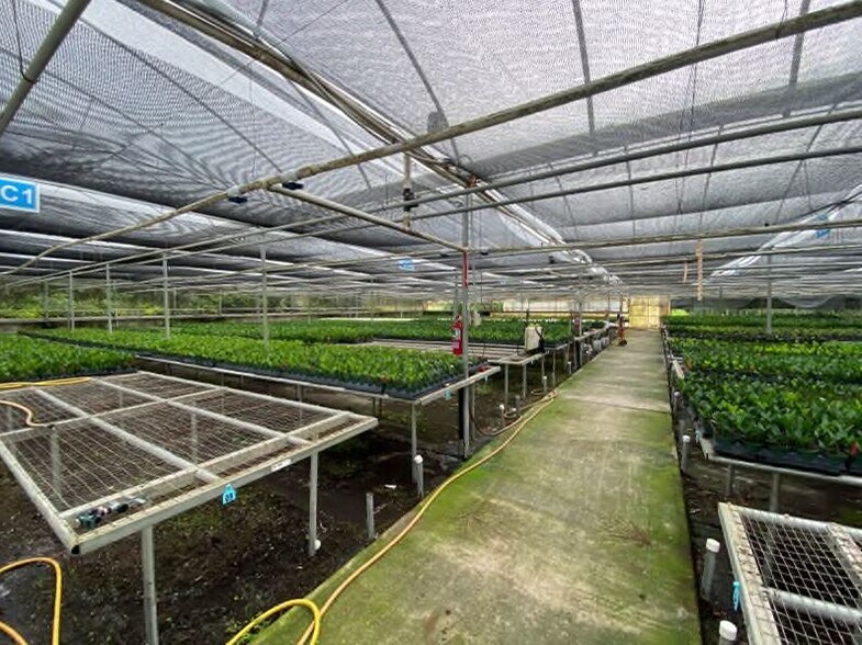 More Photos Of 17936 W Phil C Peters Rd, Winter Garden Garden Center For Sale