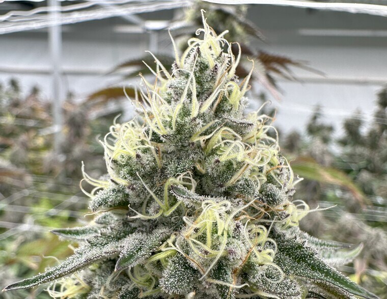 More Photos Of 947 N Buffington Rd, Sallisaw Warehouse For Sale