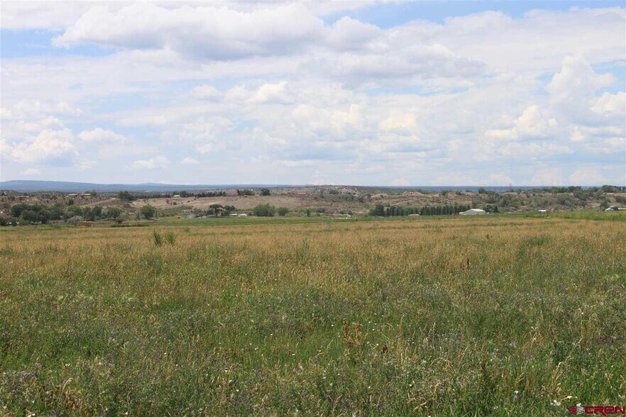 More Photos Of TBD 6600, Montrose Land For Sale