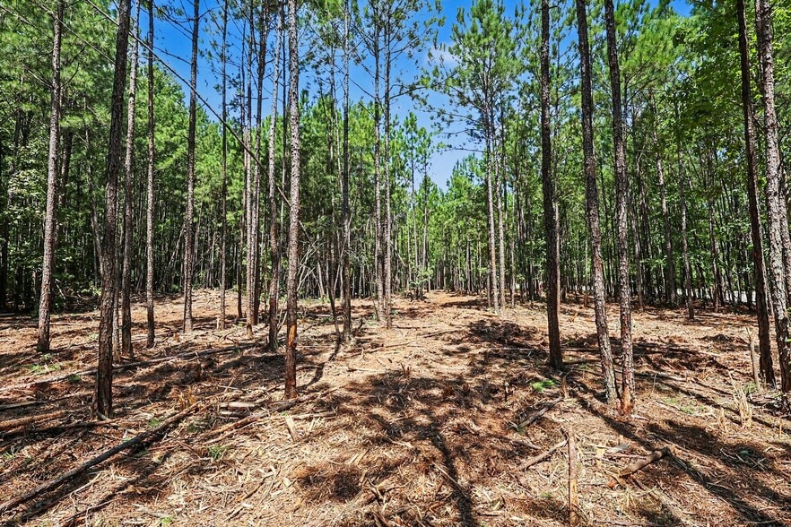 More Photos Of 810 W Chatham St, Cary Land For Sale
