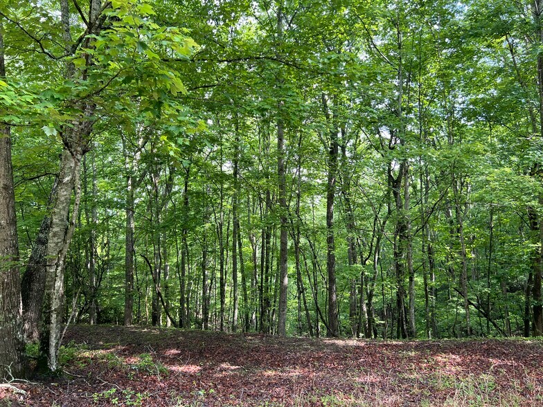 More Photos Of 395 Able rd, Waleska Land For Sale