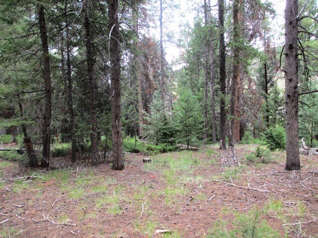 More Photos Of 26764 R Ln, Conifer Land For Sale