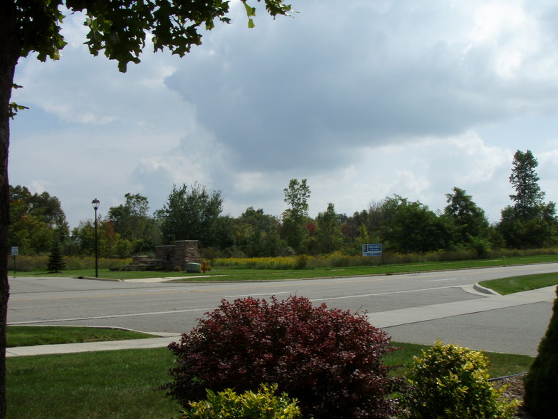 Primary Photo Of Central Park/Times Square Dr @ Times Square Dr, Okemos Land For Sale