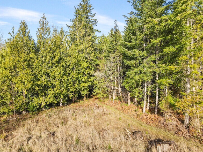 More Photos Of XXX Gravelly Beach Loop, Olympia Land For Sale