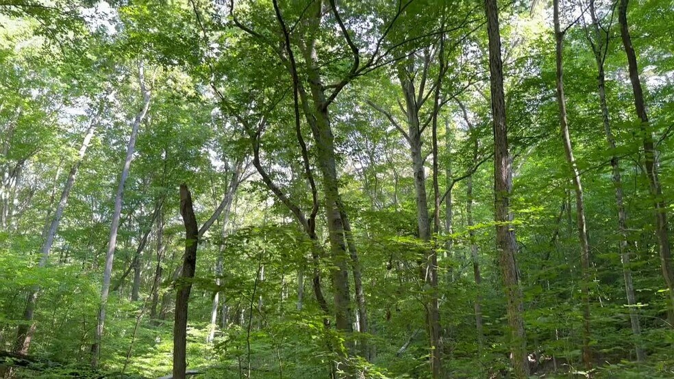 More Photos Of 400 Eden Church rd, Madison Land For Sale